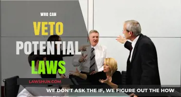 Veto Power: Who Decides the Fate of Laws?