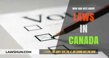 Canadian Voting Rights: Who Decides on Laws?