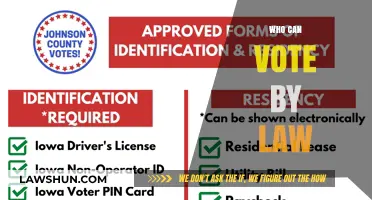 The Right to Vote: Who Qualifies?