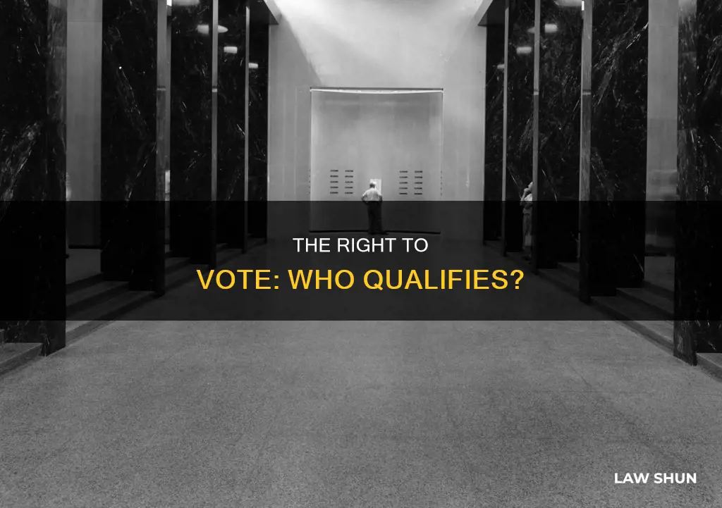 who can vote by law