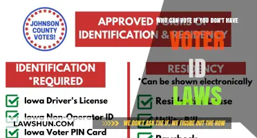 The Right to Vote: Without Voter ID Laws