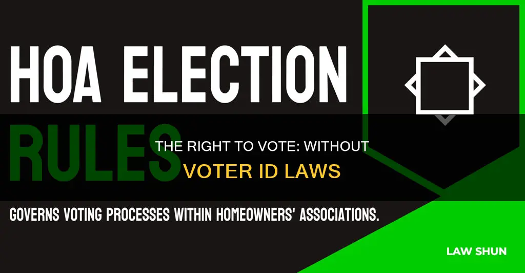 who can vote if you don