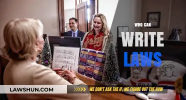 The Power to Write Laws