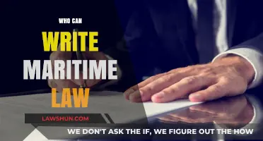 Maritime Law Experts: Who Can Write Them?