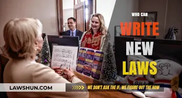 Writing Laws: Who Has the Power?
