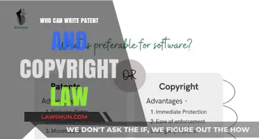 Patent and Copyright Law: Who Can Write Them?