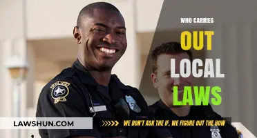 Understanding Local Law Enforcement: Who Implements Community Regulations?