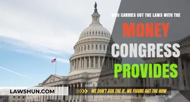 Executive Agencies: Enforcing Laws with Congressionally Allocated Funds