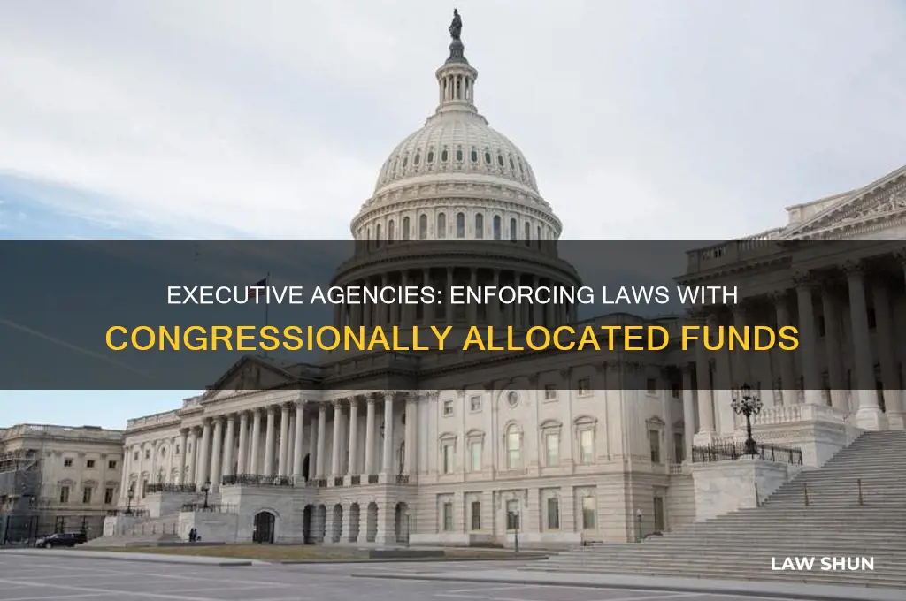 who carries out the laws with the money congress provides