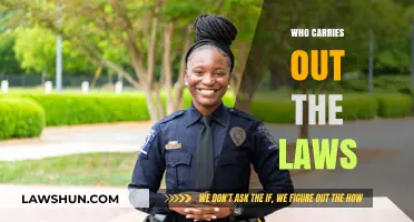 Understanding Law Enforcement: Who Carries Out the Laws and How?