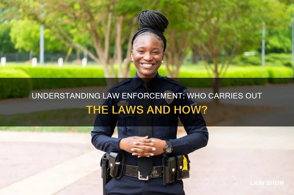 who carries out the laws