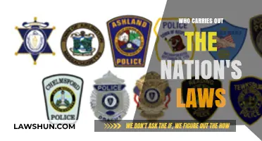 Who Enforces the Nation's Laws? Understanding Key Agencies and Roles
