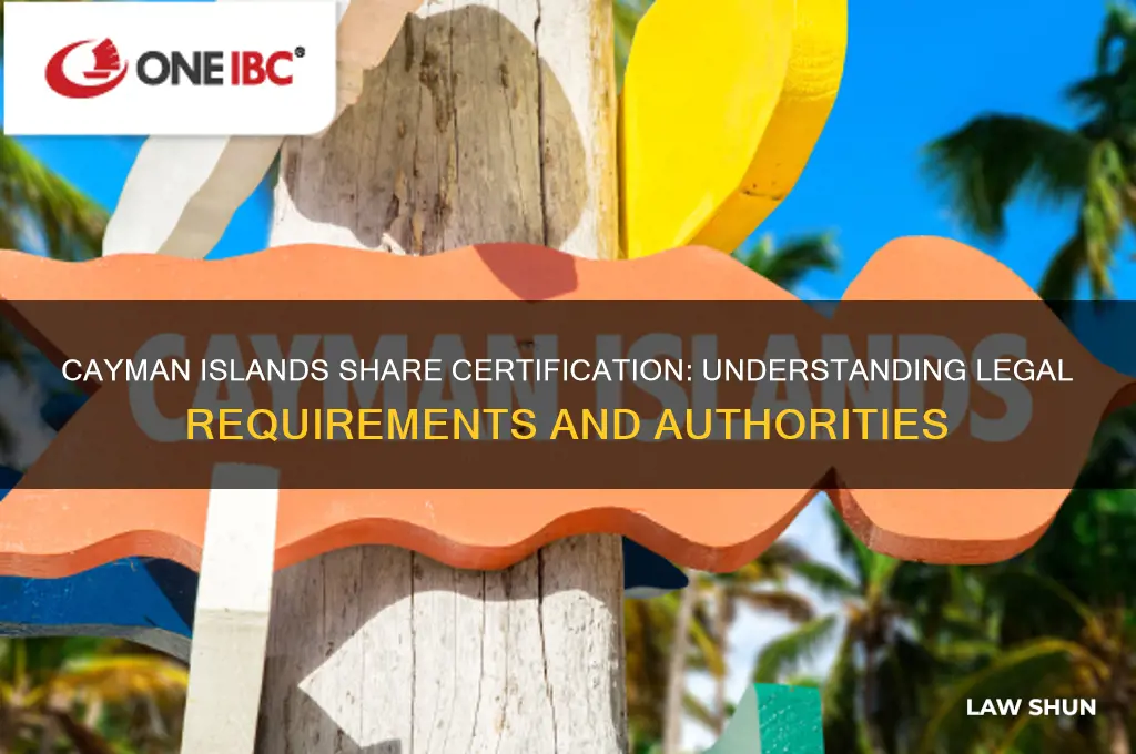 who certifies the holding of shares under cayman islands law