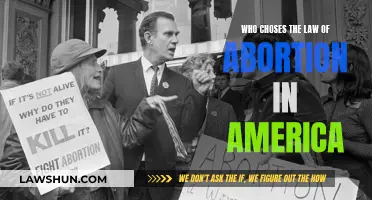 Who Really Chooses: Abortion Law in America