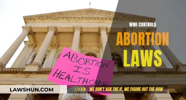 Who Really Controls Abortion Laws?