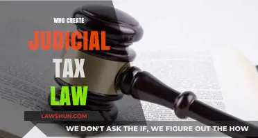 How Judicial Tax Law is Created