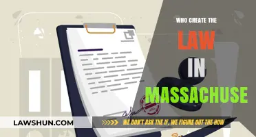 The Lawmakers of Massachusetts: Who Crafts the Rules?