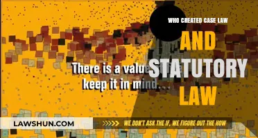 The Evolution of Law: Case and Statutory Origins