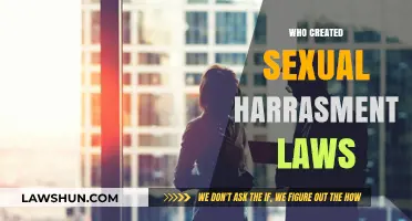 The Evolution of Sexual Harassment Laws: A Historical Overview