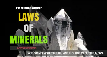 Symmetry Laws: Mineralogy's Founding Fathers