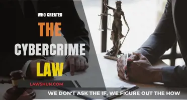 The Evolution of Cybercrime Law: A Historical Perspective