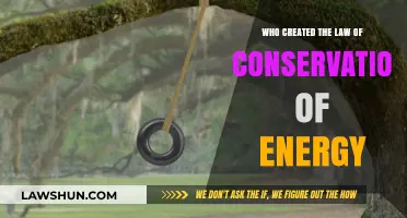 The Law of Conservation of Energy: Who Was the Founder?