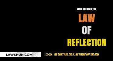 The Law of Reflection: Who Was the Creator?