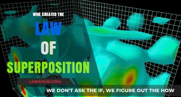 The Law of Superposition: A Historical Perspective