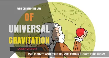 The Law of Universal Gravitation: Who Discovered It?