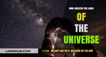 The Cosmic Architect: Laws of the Universe