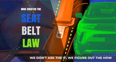 The Evolution of Seat Belt Laws: A Safety Revolution