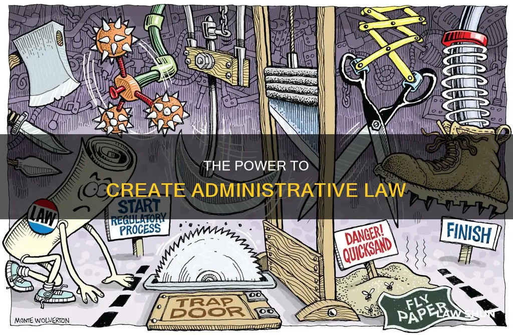 who creates administrative laws
