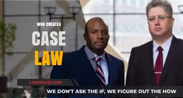 The Evolution of Case Law: Who Are the Creators?