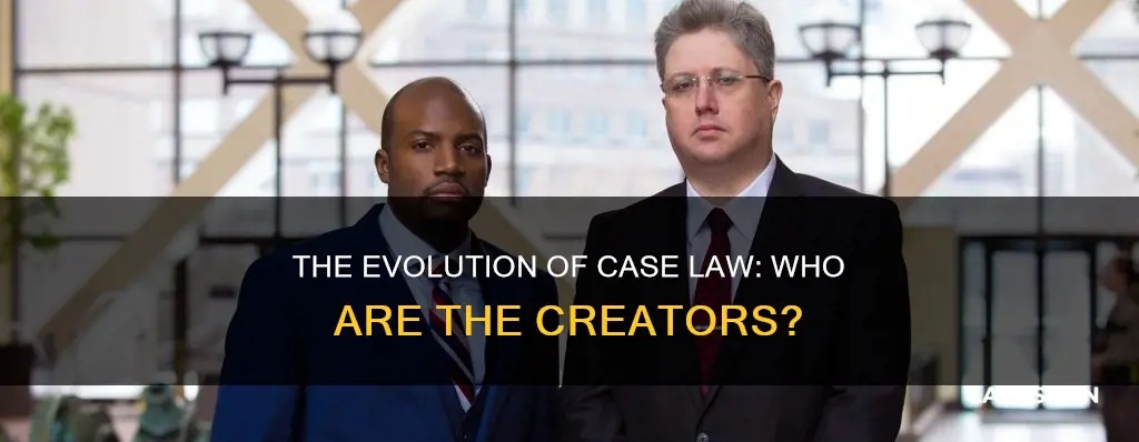 who creates case law