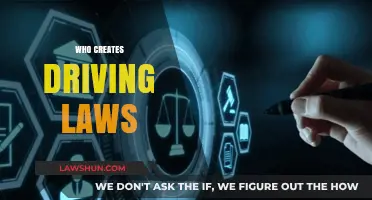 Who Makes the Rules for Drivers?