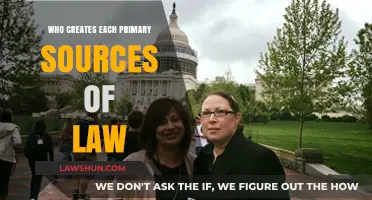 Law Sources: Who Creates Primary Legislation?