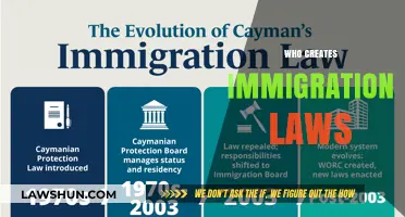 Who Makes Immigration Laws?