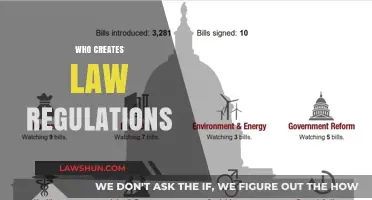 The Lawmakers: Who Creates Legal Regulations?
