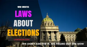 Creating Election Laws: Who's Responsible?