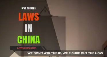 The Lawmakers of China: Who Decides?