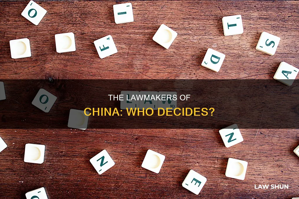 who creates laws in china