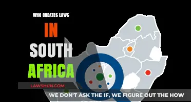 South Africa's Lawmakers: Who Crafts the Rules?