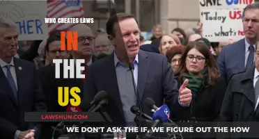 The Lawmakers: Who Creates US Laws?
