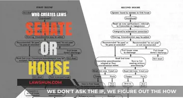 The Lawmaking Process: Senate vs. House