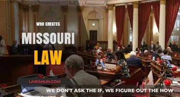 Missouri Lawmakers: Who Makes the Rules?