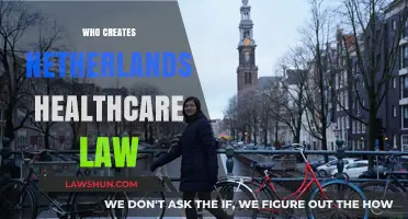 Dutch Healthcare Law: Who's Responsible?