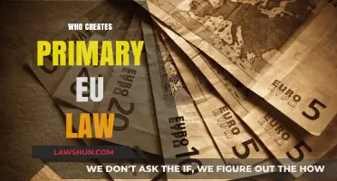 The EU's Primary Lawmakers