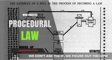 Procedural Law: Who Makes the Rules?