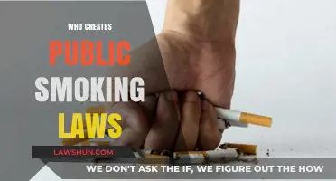 Who Makes Smoking Laws and Why?
