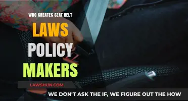 Policy Makers and Seat Belt Laws: Who's in Control?
